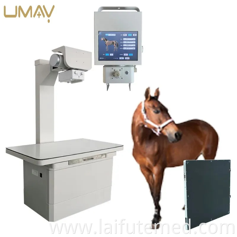 Advanced Veterinary Pet X Ray Machine for Diagnostic Imaging Needs
